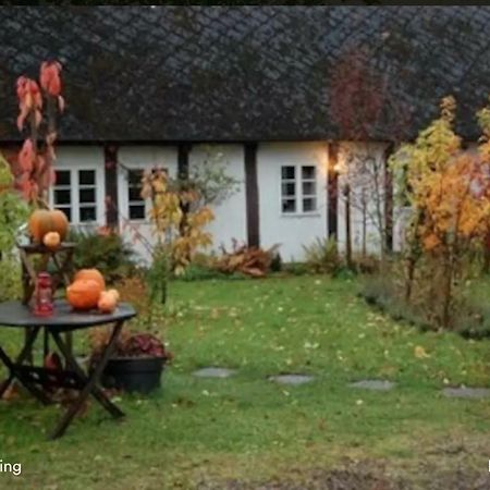 Norregard Farm Guest House Brösarp Dış mekan fotoğraf